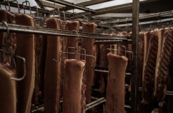 all frames slagter theilgaard jpegs 165